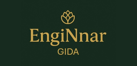 EngiNnar GIda